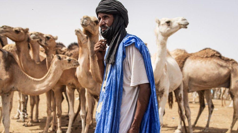 A man walks through a camel market in Nouakchott, the capital of Mauritania.