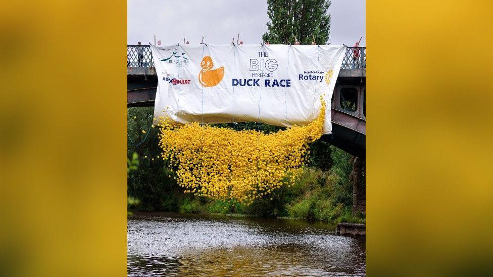 Thousands of yellow rubber ducks cascade down from a bridge, photographed in the air before they hit the river below. A white banner saying 'The Big Hereford Duck Race' hangs from the bridge.