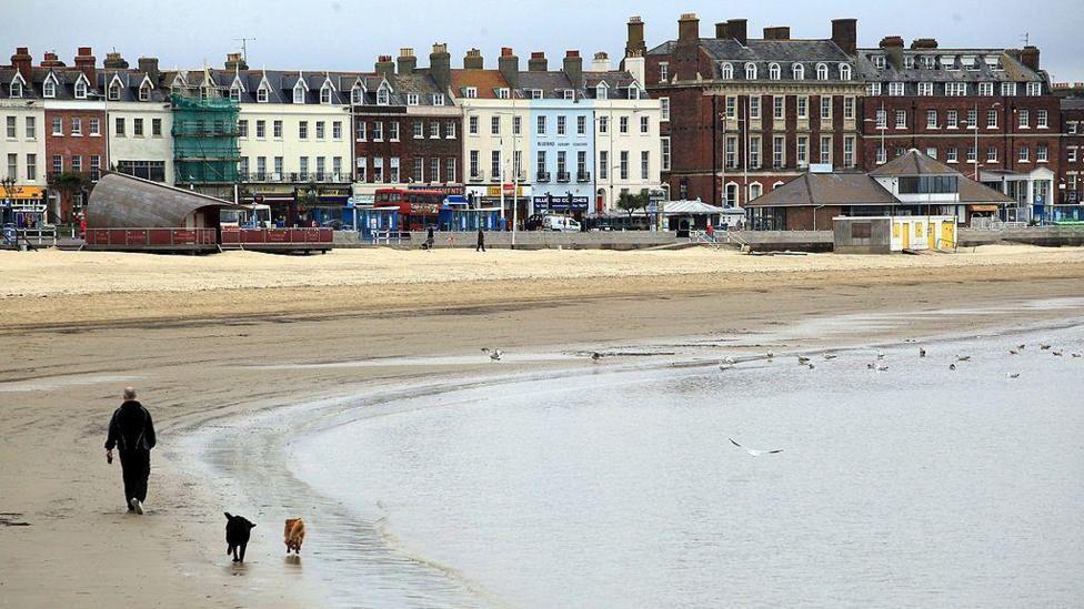 Weymouth beach with the promenade in the background. The beach is deserted with the exception of a man and his two dogs