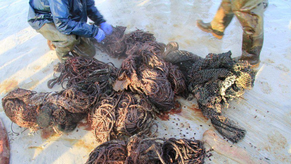 Two experts examine a mass of rope and nets laid out on the sand of a beach.