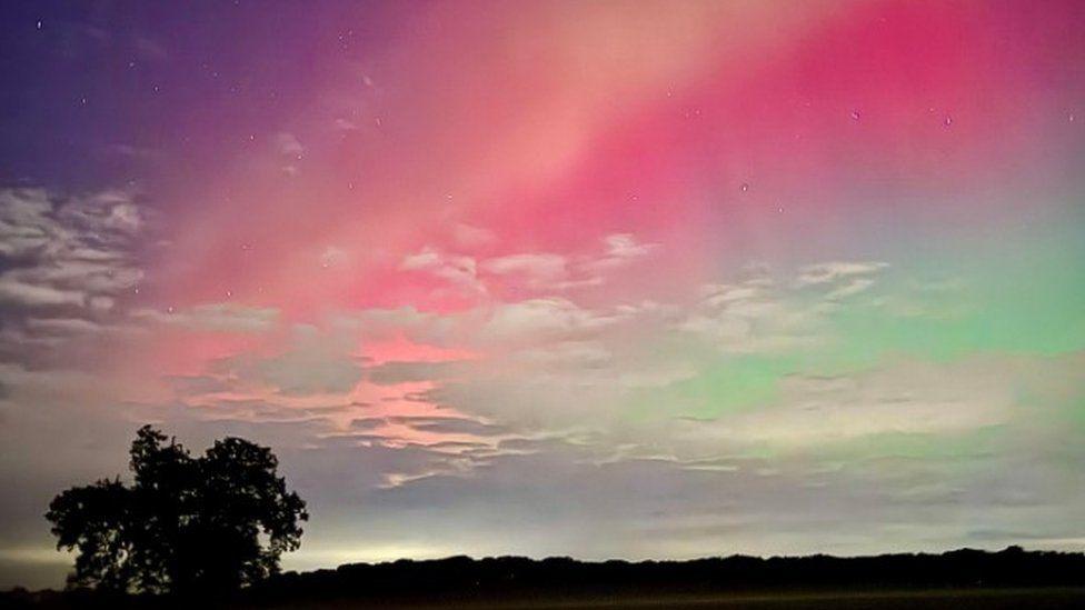 Trees and landscape in black silhouette with pink and green clouds among silver-looking sky