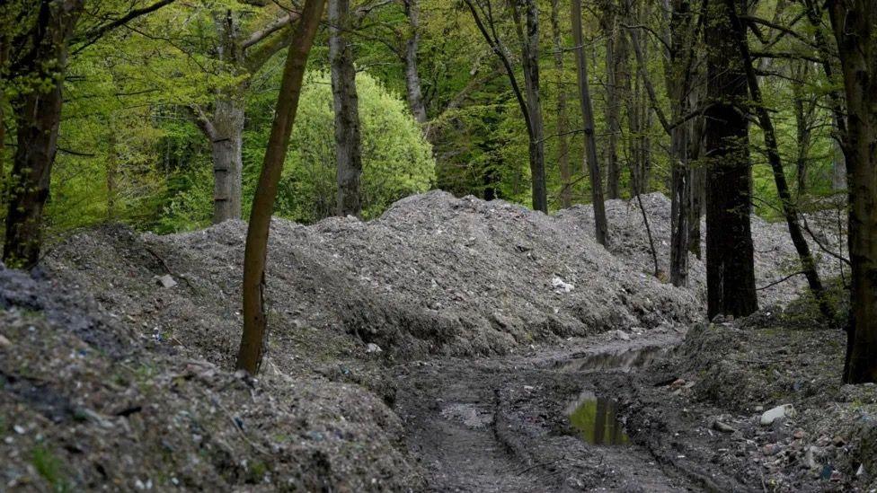 Mounds of waste in Hoads Wood 