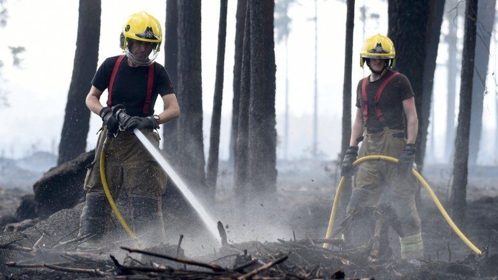 Dorset & Wiltshire Fire and Rescue firefighters tackling forest fire