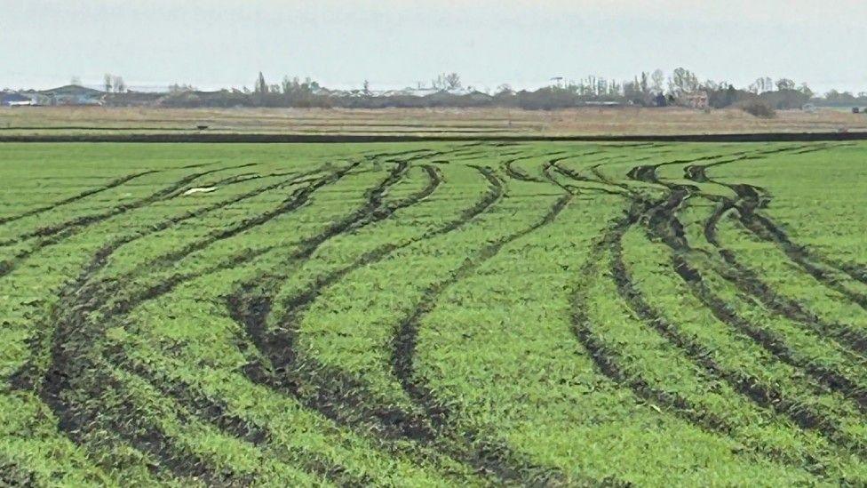 A green field that has been left damaged with tyre marks across it.