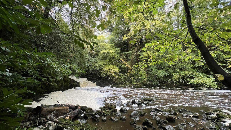 wide shot of the Crumlin river surrounded by greenery