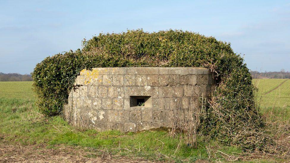 A circular pillbox made from blocks of concrete. Its gun hole is facing the viewer and its roof is mostly covered with a huge tangle of dark green ivy. In front of it is a verge and behind it is a field with a green spring crop. The sky is blue. 