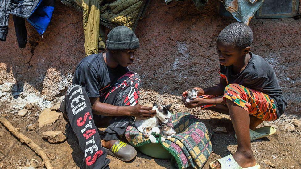 Two people feed cats at the slum in the capital, Nairobi - Tuesday 6 August 2024