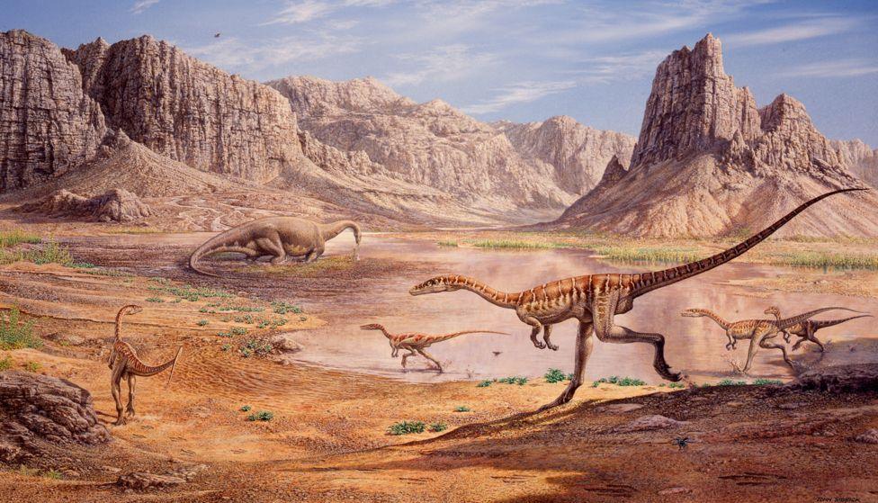 How palaeontologists think Wales might have looked during the late triassic period- sandy desert like environment with several long necked dinosaurs 