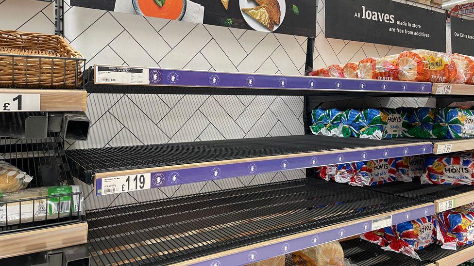 empty bread shelves