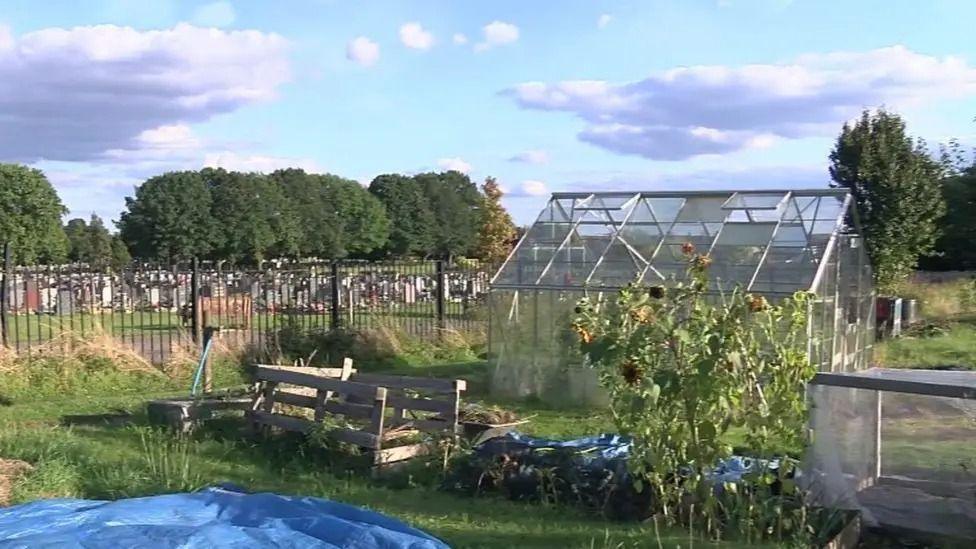 Henley Road allotments - including a green house and veg patches. In the background you can see graves at Reading Cemetery.