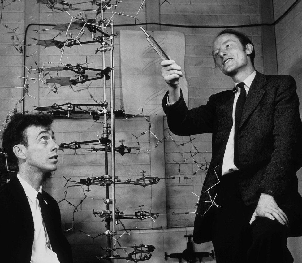 Watson and Crick