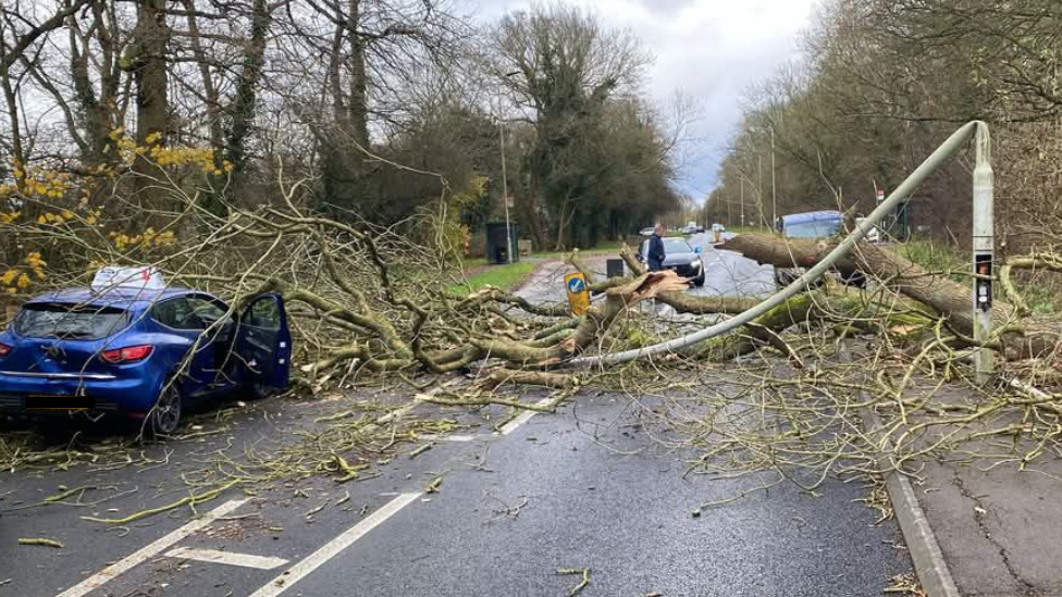 A blue car with a white learner symbol on the top is in the left lane on Bretton Way. The car has been covered by twigs and branches, has a big dint in the back and drivers side door is open. Covering the car and both side of the road is the fallen treen. Under the tree is part of a lamppost which has been bent and brought down to the floor. 