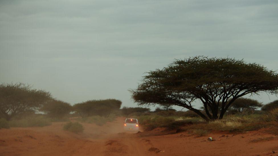 A van on a dirt road, driving past an Acacia tree