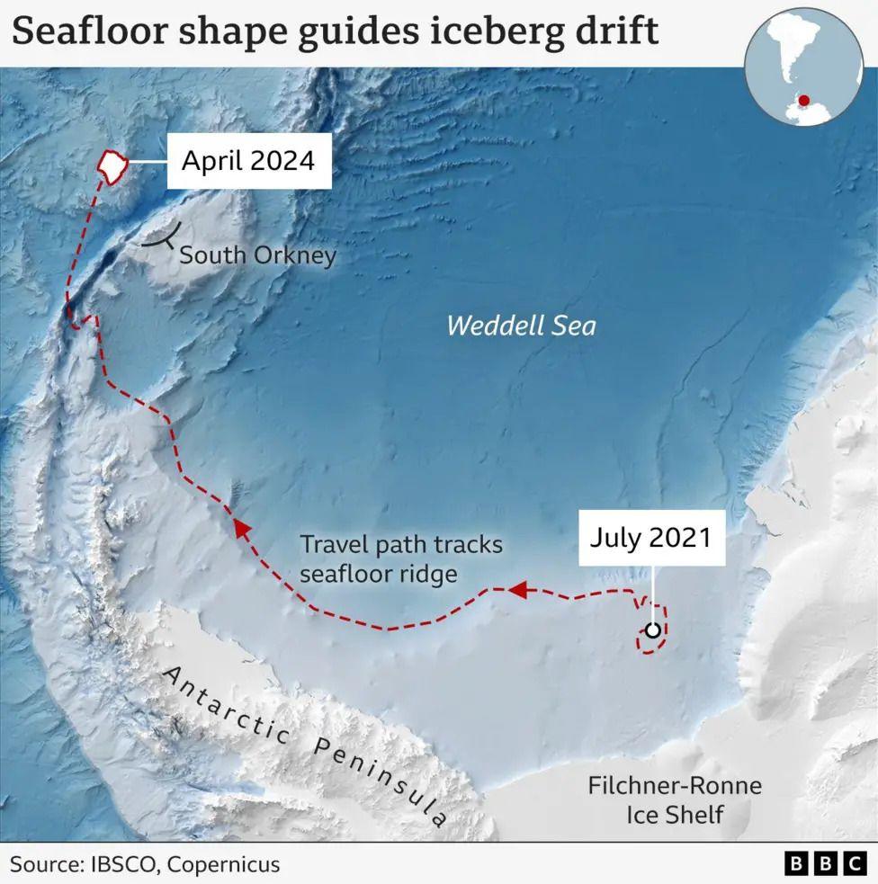 A BBC graphic showing the route taken by the A23a iceberg after it began drifting northwards from the coastline of Antarctica a few years ago. It followed the edge of the Antarctic peninsula before becoming trapped in a vortex near the South Orkney Islands this spring.