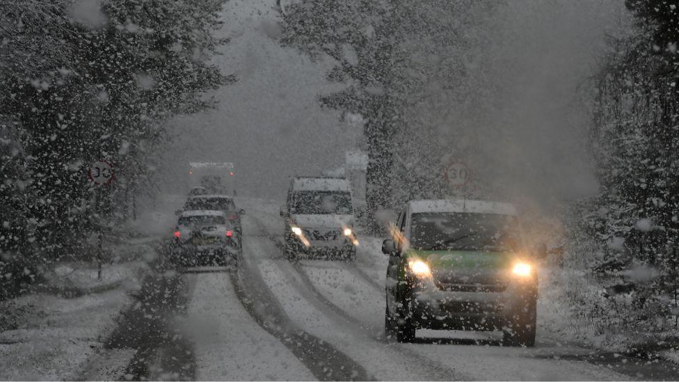 Cars driving on a road through a wooded area during a blizzard 