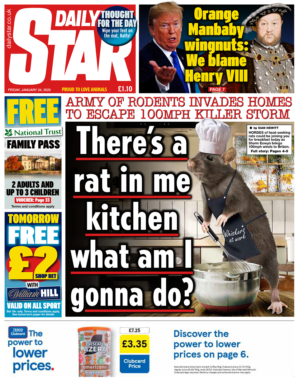 The headline in the Star reads: "Army of rodents invades homes to escape 100mph killer storm". 