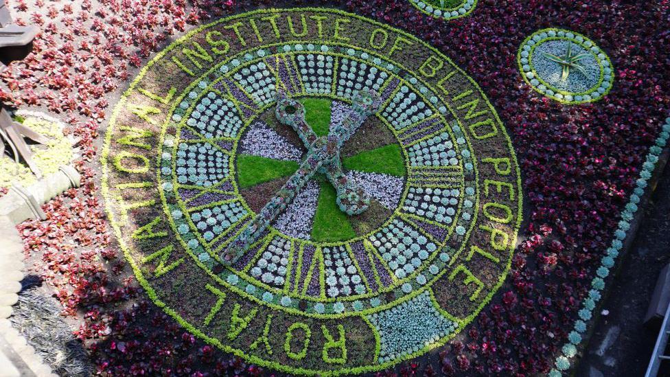 The floral clock is made up of thousands o flowering plants which are green and purple.