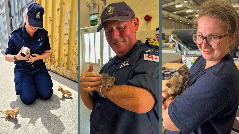 In the first picture PO Kirsty Scott is on her knees next to the containers, lifting up a little cat, while another two look on. In the second Lt Nathan Boal cradles a kitten. In the third PO Kirsty Scott is holding two of them.