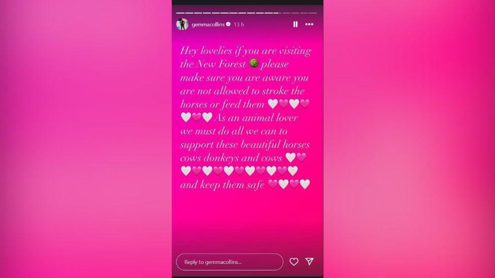 A screenshot of an Instagram post by Gemma Collins. It contains white lettering on a pink background dotted with pink and white hearts, telling her followers not to stroke or feed the horses, cows and donkeys in the New Forest.