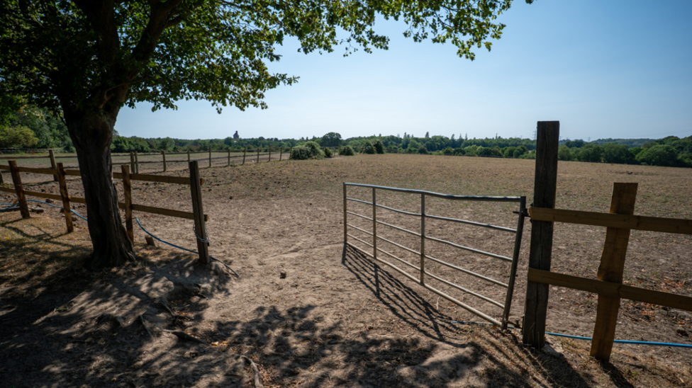 Drought conditions in England and Wales expected to persist