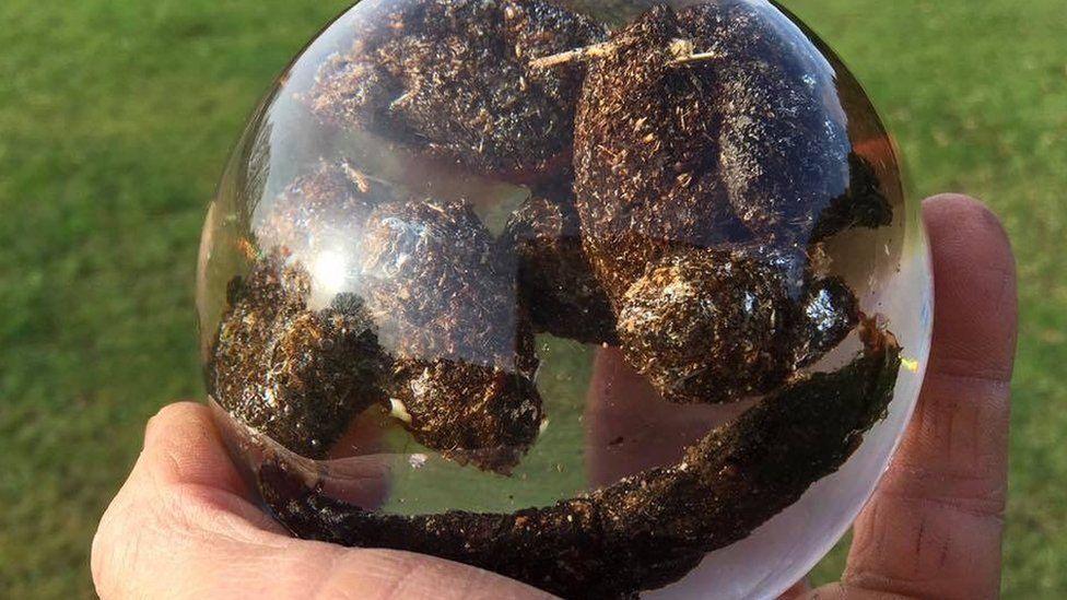 Clear large sphere with brown material encased inside held in a person's hand.