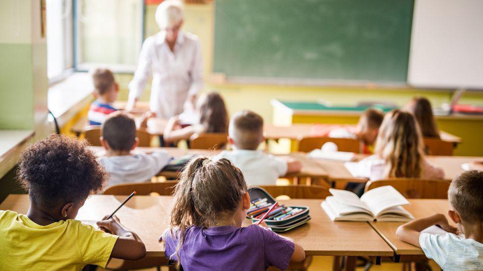 Rear view of primary school students attending a class in the classroom.