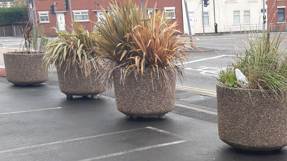 Four large round planters with plants in them by the side of a road junction. There are terraced houses and traffic lights in the background