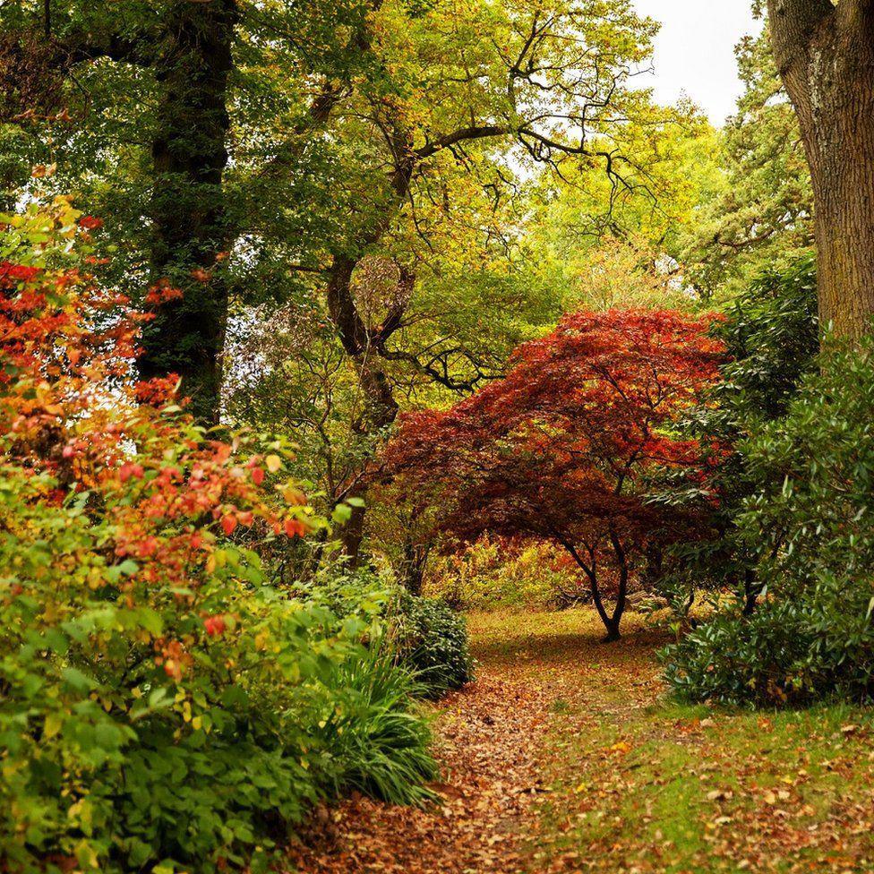 Parc Dolerw