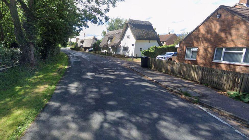 A country road with houses on the right side, two of them thatch cottages with white paint. On the left side is a grass verge and tall trees which cast mottled shade over the road.