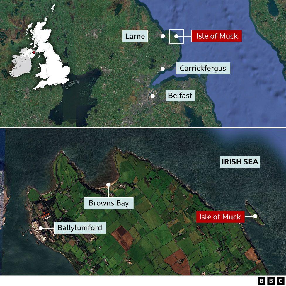 a map showing the Isle of Muck's location on the east coast of Northern Ireland, east of Larne, Browns Bay and Ballylumford and north of Carrickfergus and Belfast