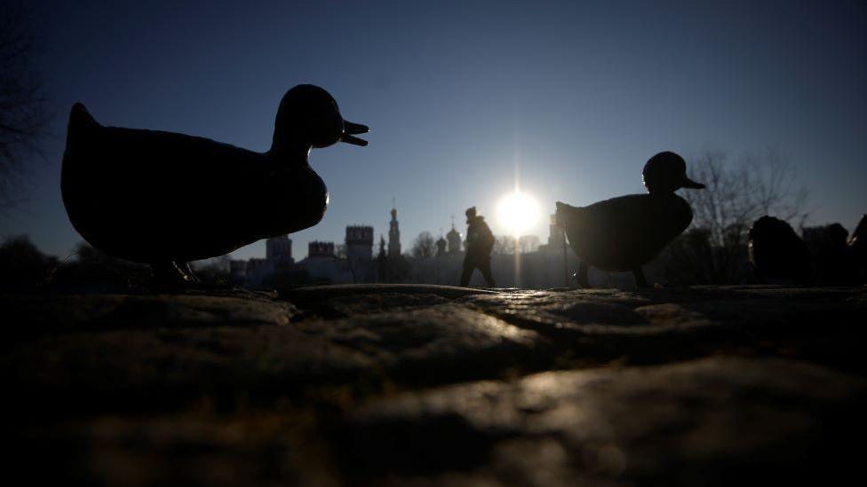 Duck sculpture at dusk near the Novodevichy Convent in Moscow 