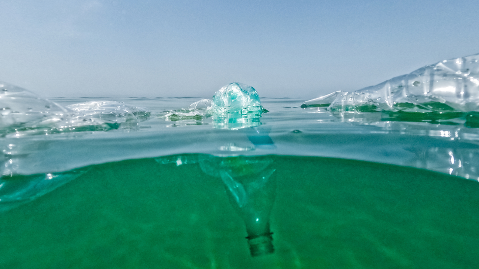 Plastic bottles floating in the sea.