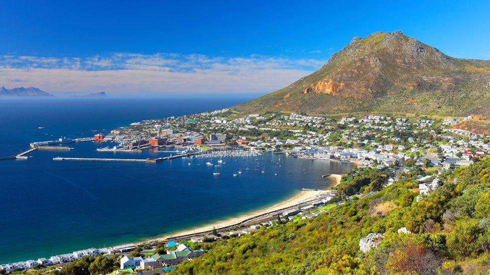 A view of the bay on which Simon's Town is built - a picturesque scene showing the bright blue sea, boats, a harbour, lush vegetation, a mountain and mainly white houses clustered around the coast.