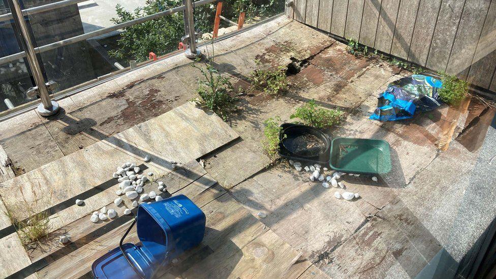 A messy balcony with wooden planks as flooring and some indistinguishable rubbish