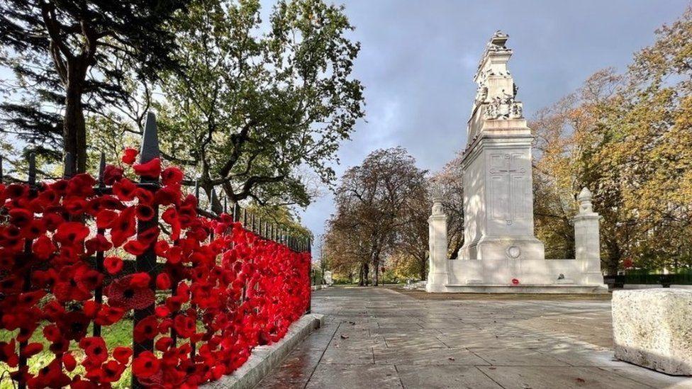 Southampton poppies in Watt Park