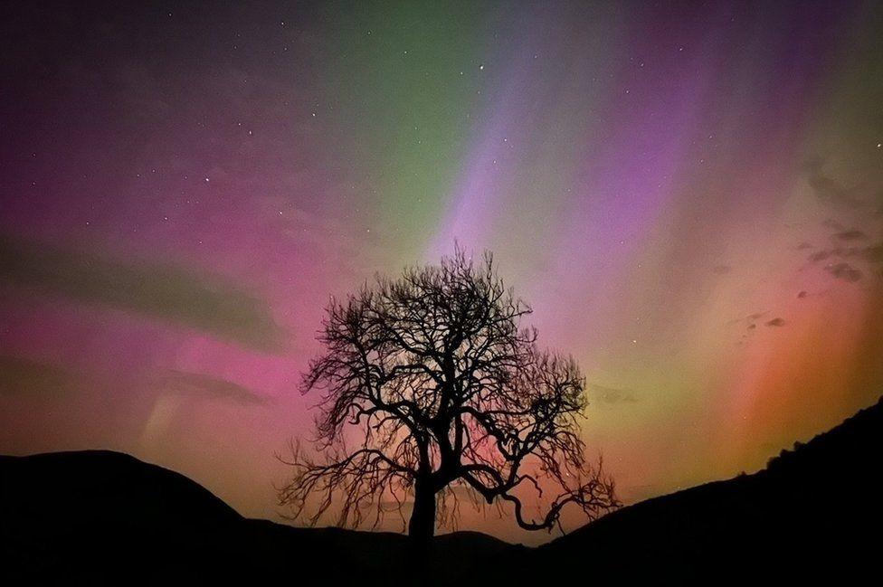 Northern Lights