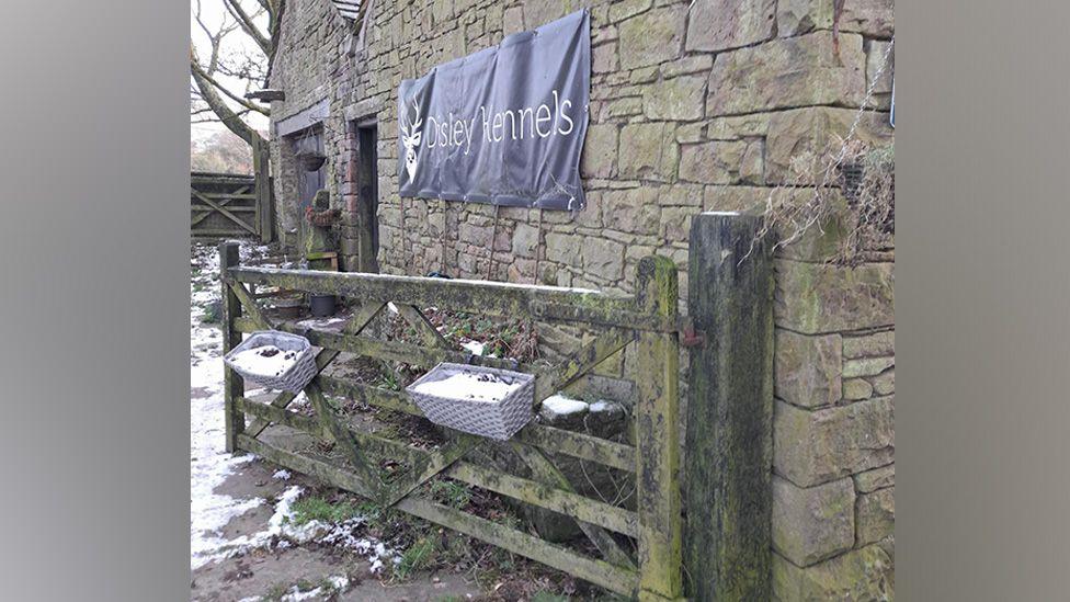 Sign on the wall of a grey stone building reads "Disley Kennels". There is snow on the ground of a paved are outside the rural-looking building. There is an open wooden gate.