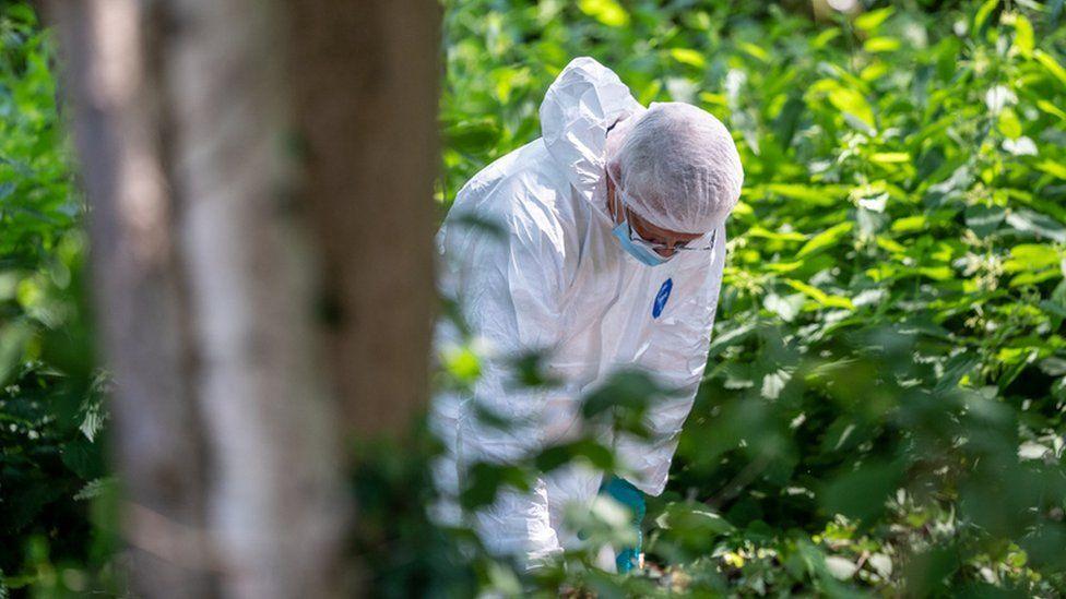 A police officer wearing a white forensics outfit searches among a shrubby area of a wood.