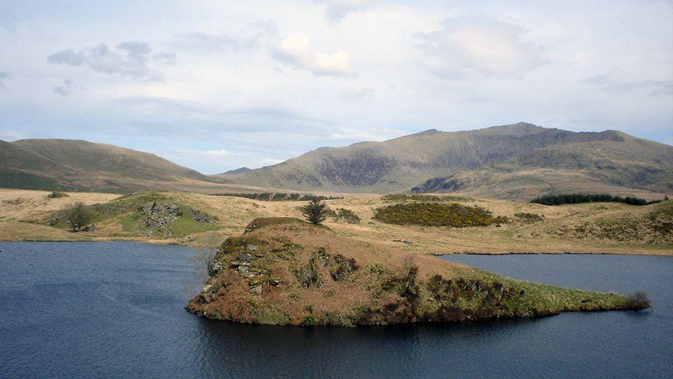 Llyn y Dywarchen