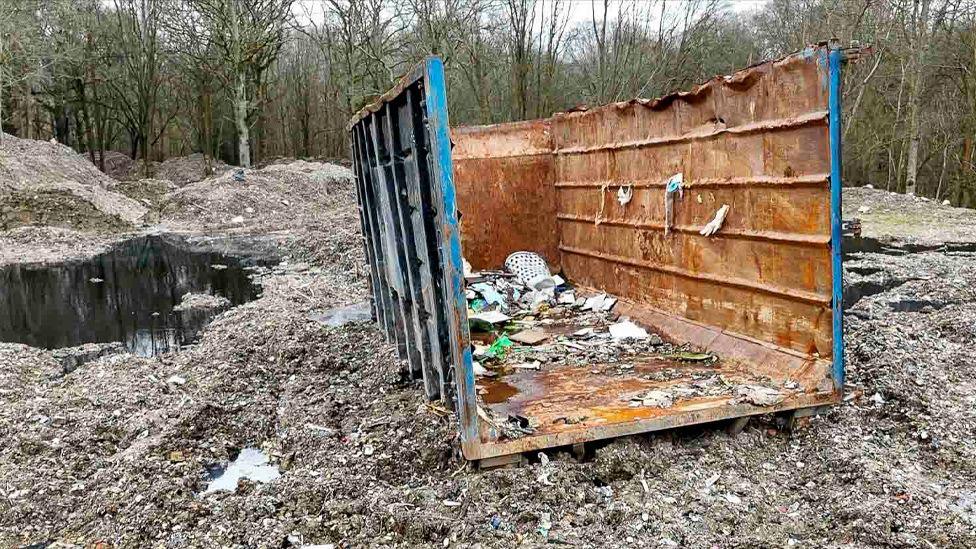 A woodland scene with piles of waste and a skip in the forefront