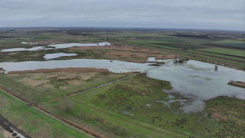 Burwell Fen after the restoration in December. At least half the site is covered in expanses of water. In the distance is grey sky.