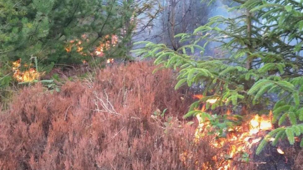 Flames can be seen among the woodland and moorland