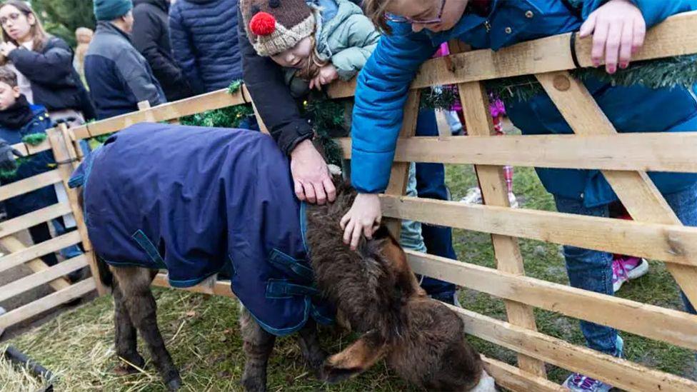 Two people in coats and hats stroking a donkey in a pen, while a baby looks on. 