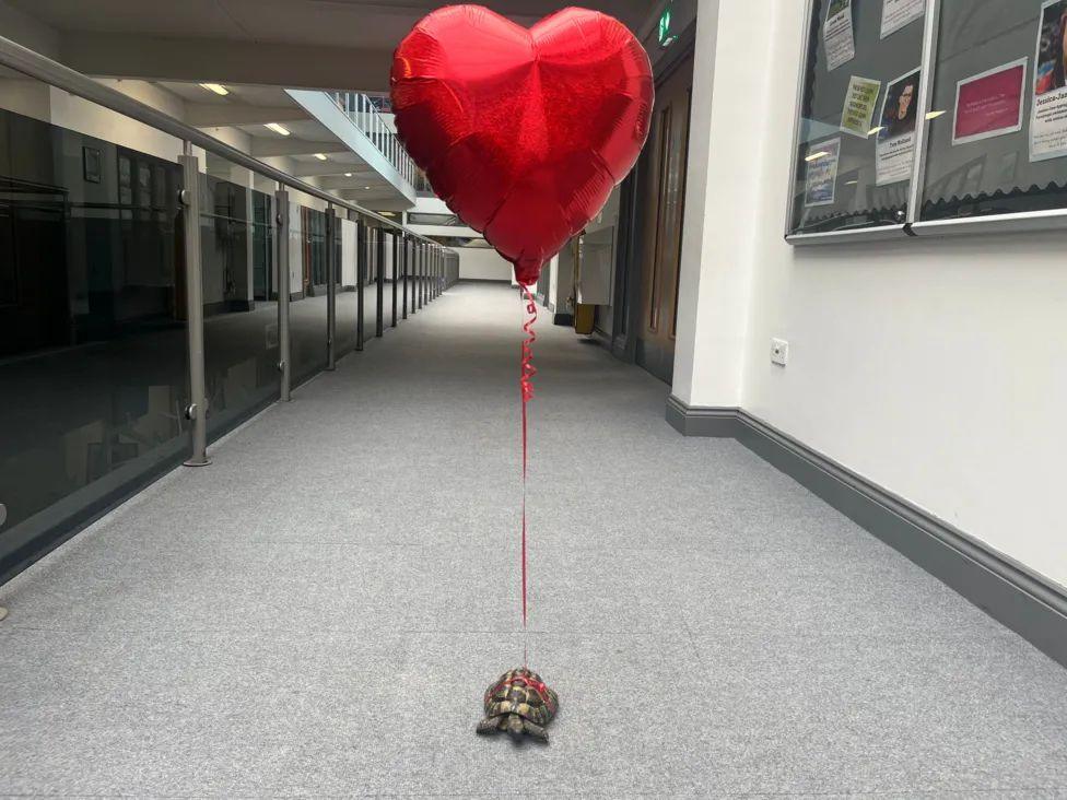 Billy wandering school corridors with heart balloon 