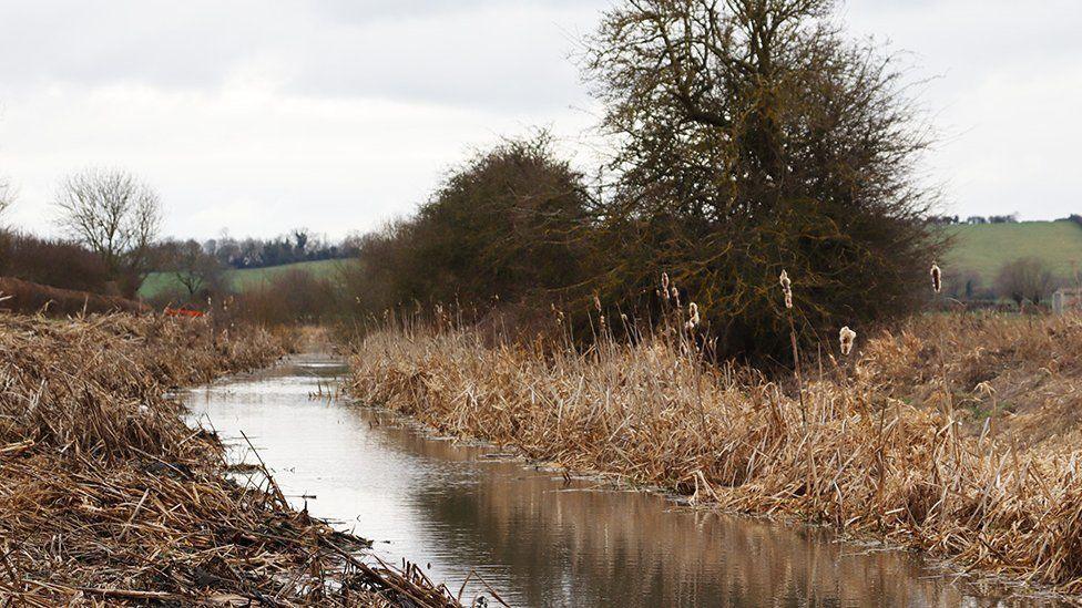 A general view of the Grantham Canal