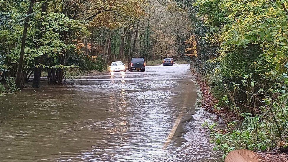 Treee-lines road submerged by floodwater two cars are driving away through the flood and one towards.