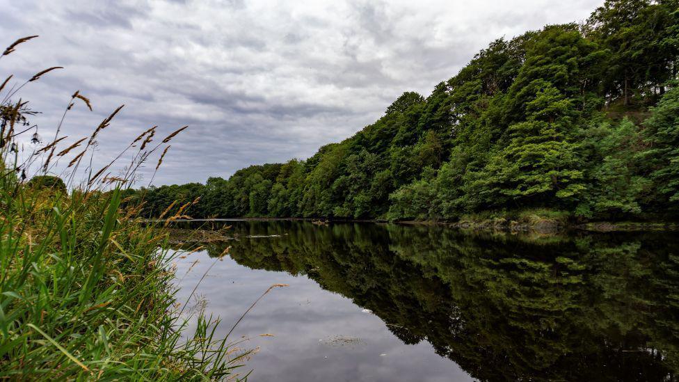 River Don with trees reflected in the water.