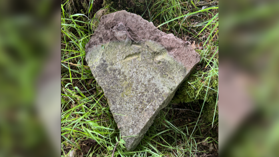 A traingular piece of grey tile propped up on a graddy verge