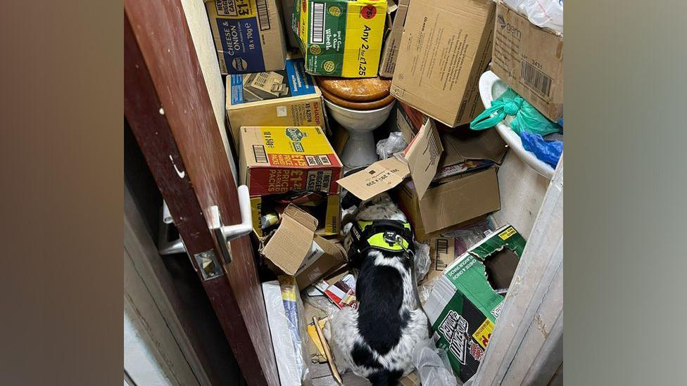 A police dog is next to a toilet, which is surrounded by boxes of different products.