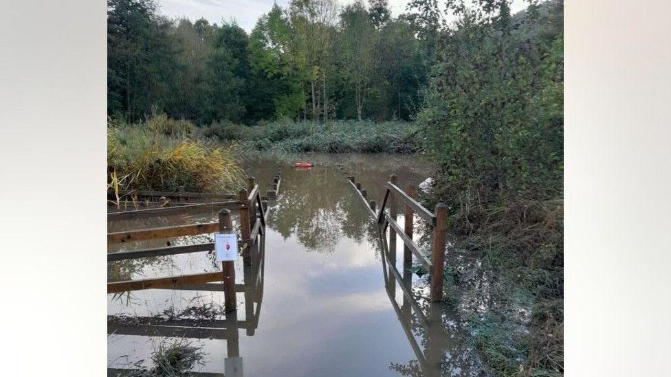 Wooden fencing is submerged in muddy brown water. The fencing leads to an area which was a pond but is submerged. You can see the top of a red life ring peeking out of the water. In the distance are green reeds, bushes and trees.